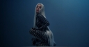 Flashing_Lights_281529.jpg